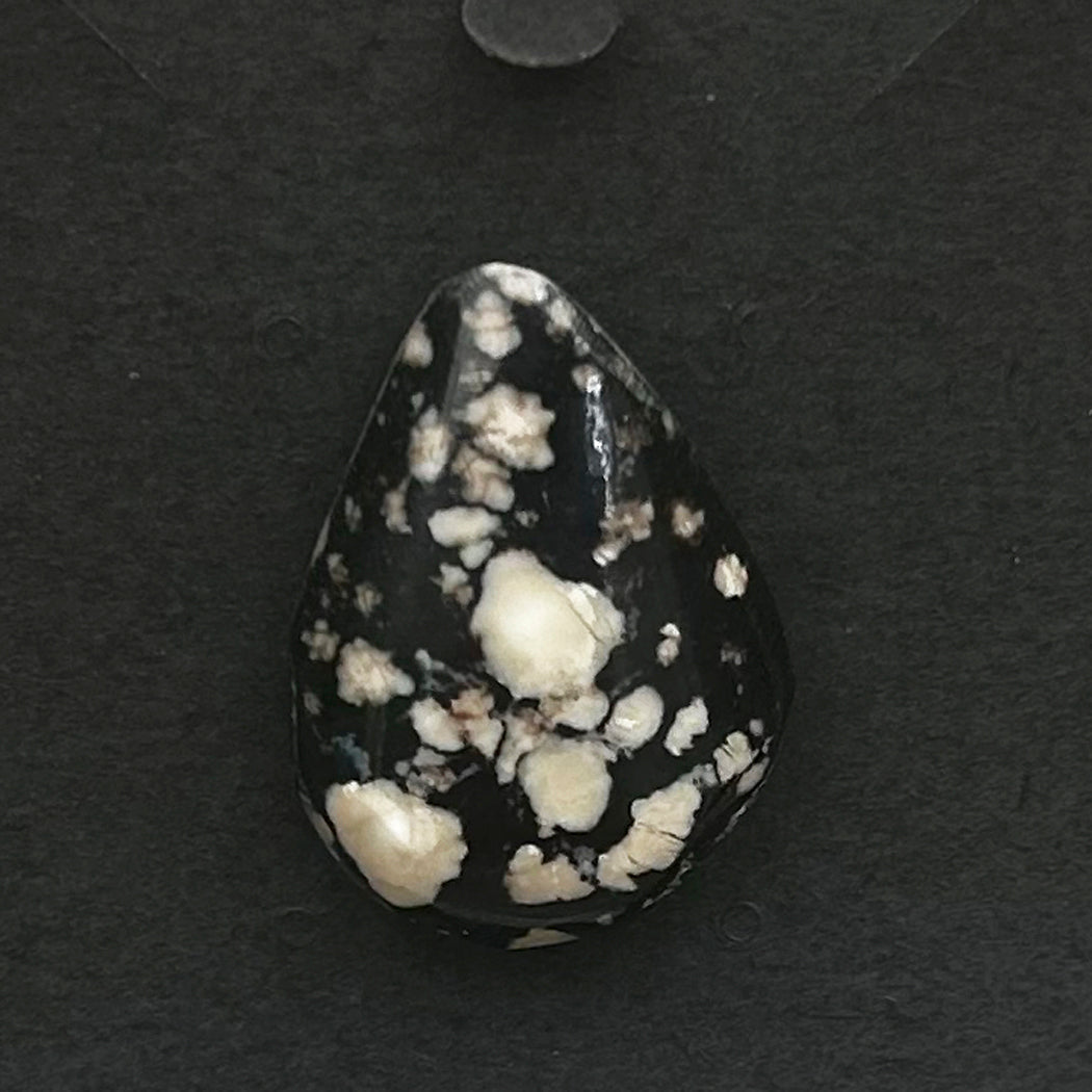Appaloosa Stone