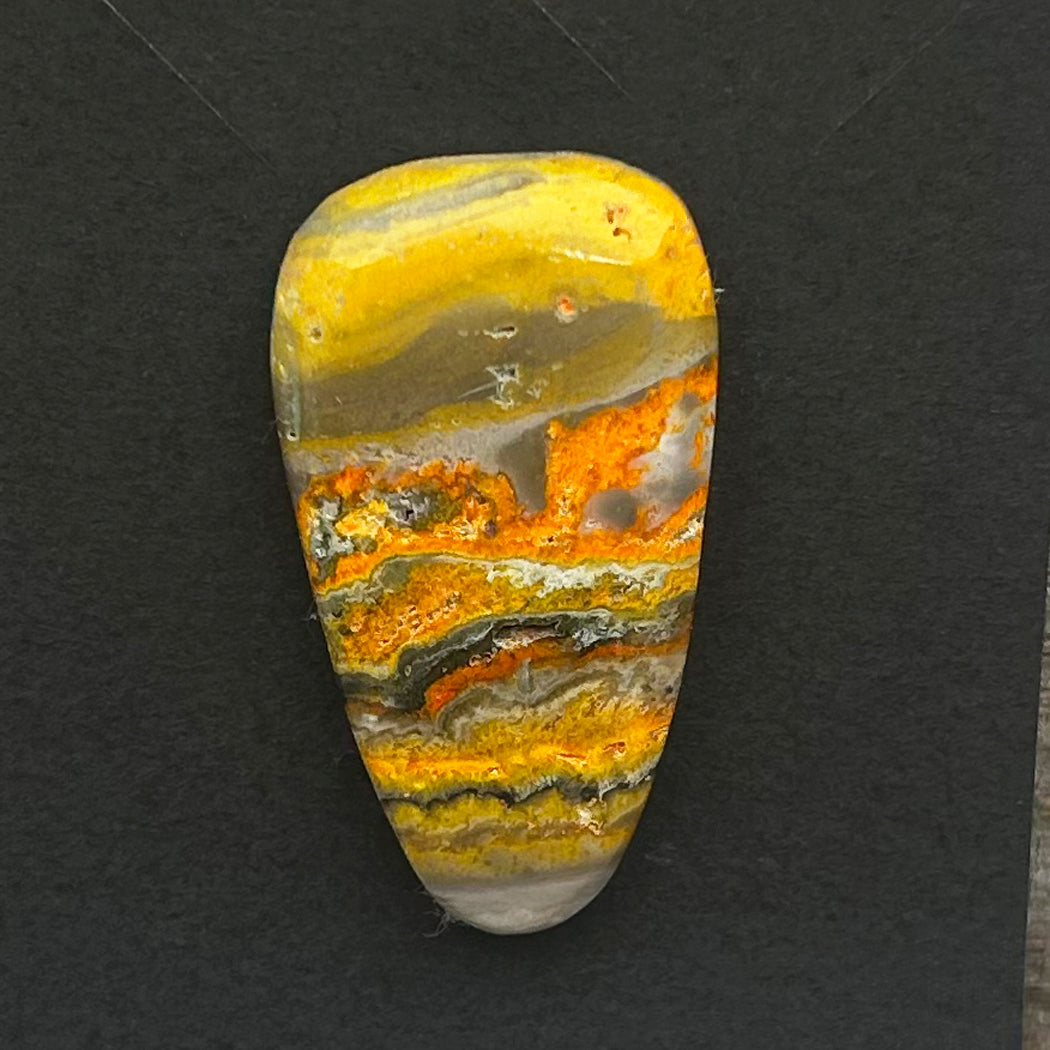 Bumblebee Jasper