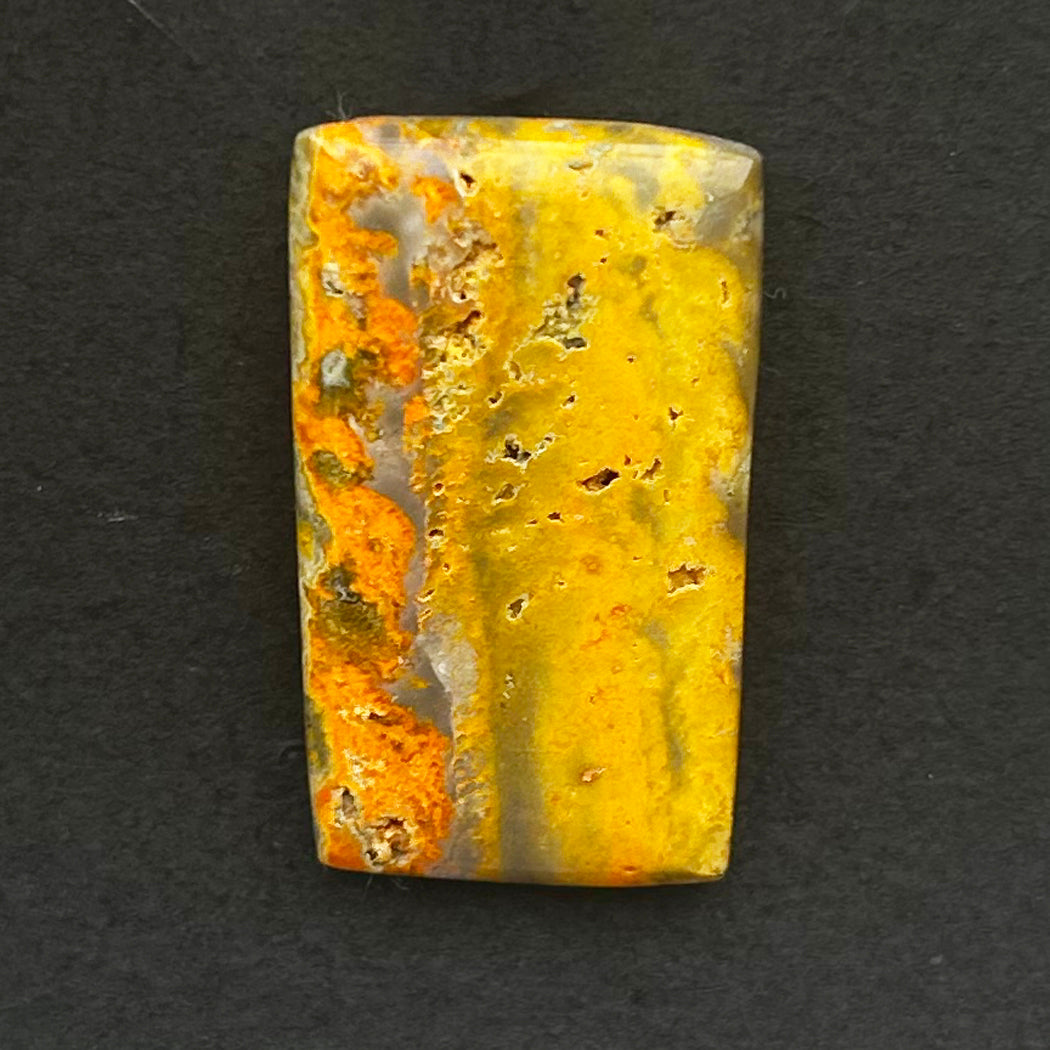 Bumblebee Jasper
