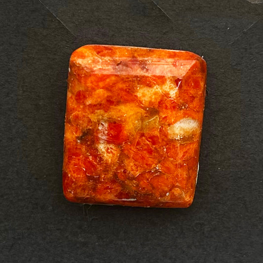 Apple Coral